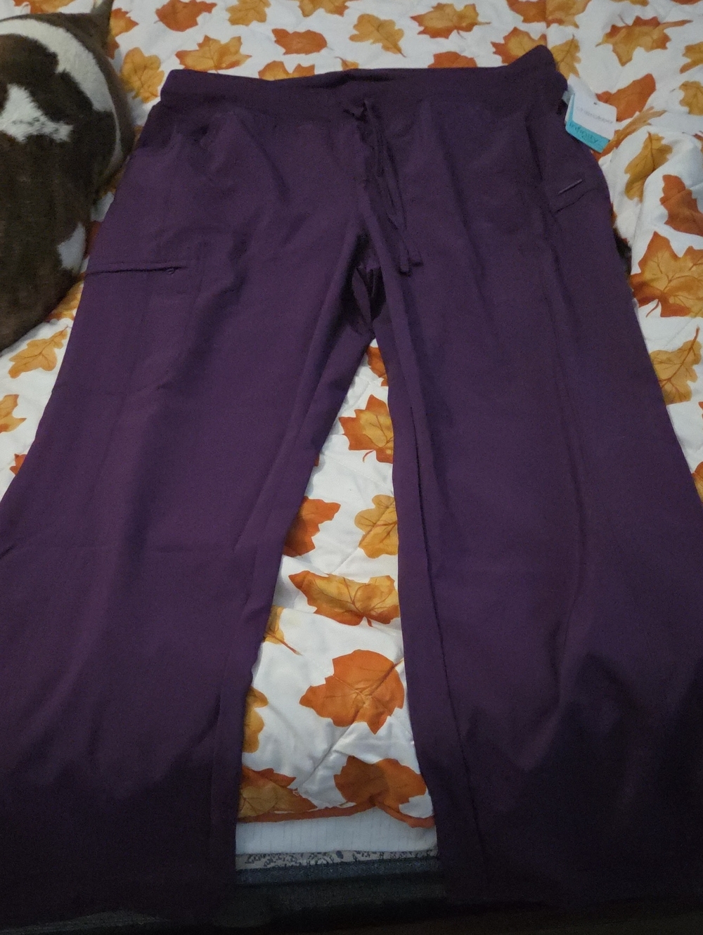 Womens  Purple Cargo Drawstring Pants